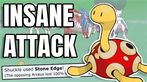 shuckle pokemon violet.